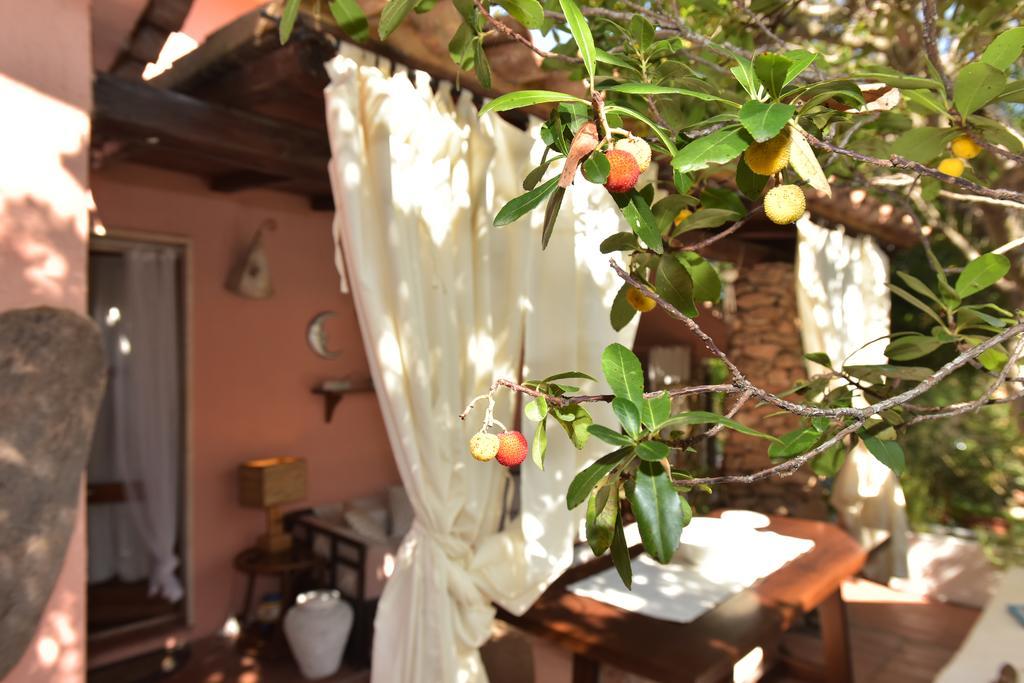 Bed & Breakfast Yin & Yang San Pantaleo Exterior foto